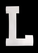 8" Position Letter Applied to Black Placard - Sold Unapplied to Shirt or Jacket