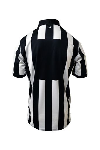 Honig's 2" Stripe Short Sleeve Jersey With Position/number Placket on back.