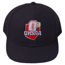 Ohio High School Athletic Assoc [OHSAA] Richardson 530 4-Stitch Wool Blend hat - Navy